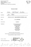 /album/fotogalerie-certifikaty/skenovani0004-jpg1/